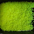 /msite/products/detail/productid/62556413/id/1503707.html